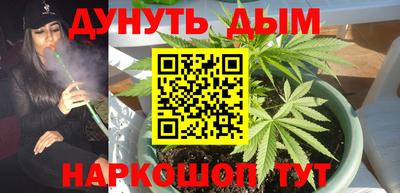 сатива Малгобек