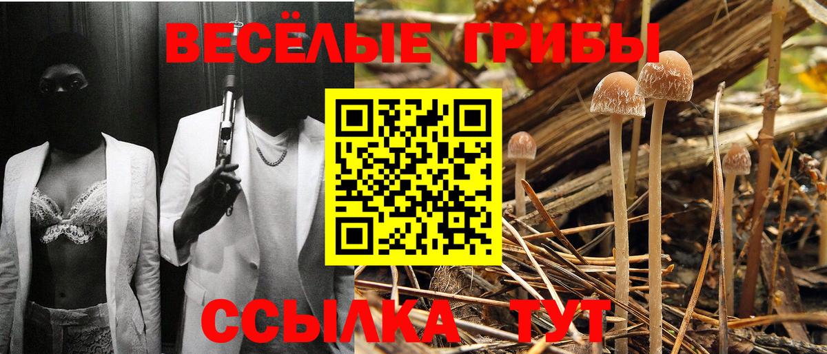 Галлюциногенные грибы прущие грибы  наркотики  Тверь  Вход с VPN 